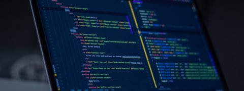 Custom Web Development